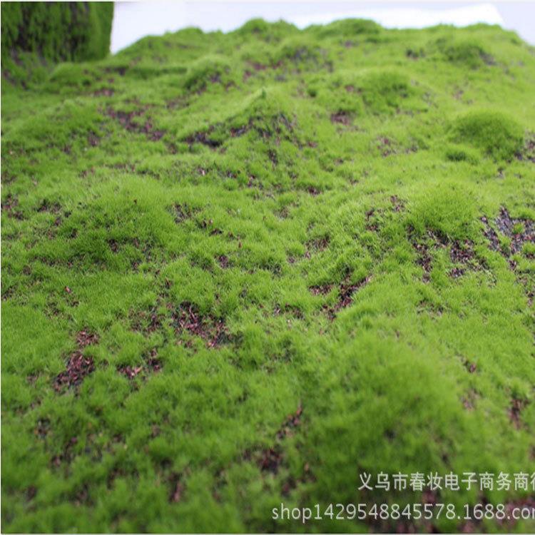仿真绿植墙苔藓假苔藓室内景观苔藓草皮场景橱窗造景微景观假草坪