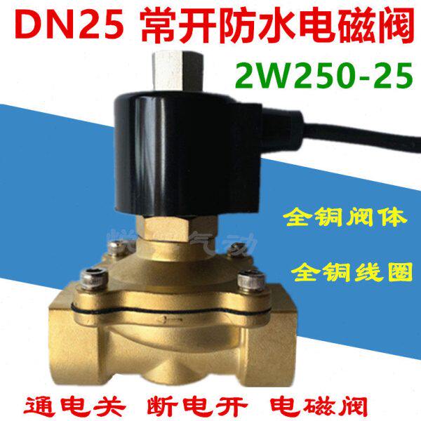 DN25常开水下喷泉防水电磁阀 室外防水水阀2W250-25 1寸 220V 24V
