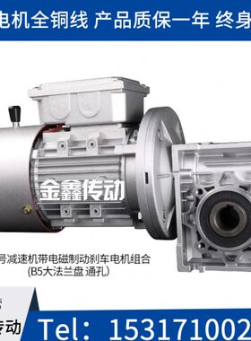 NMRV减速机带电磁制动刹车电机组合 RV减速机 涡轮蜗杆减速机