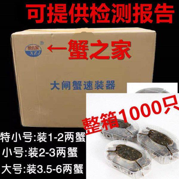 大?蟹速?器1000?整箱2-3.5? ?螃蟹速?盒 捆毛蟹塑料盒螃蟹