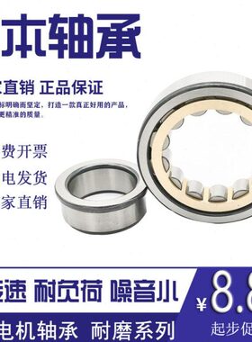 人本圆柱滚子轴承NJ220 221 222 224 228E 232EM/ZC3/Z1  244EM