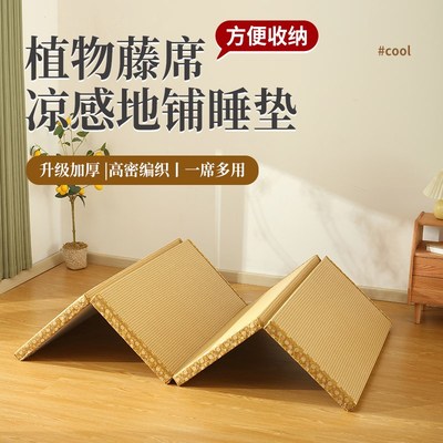 榻榻米垫子打地铺地垫地上睡觉专用垫可折叠收纳家用X神器凉席床