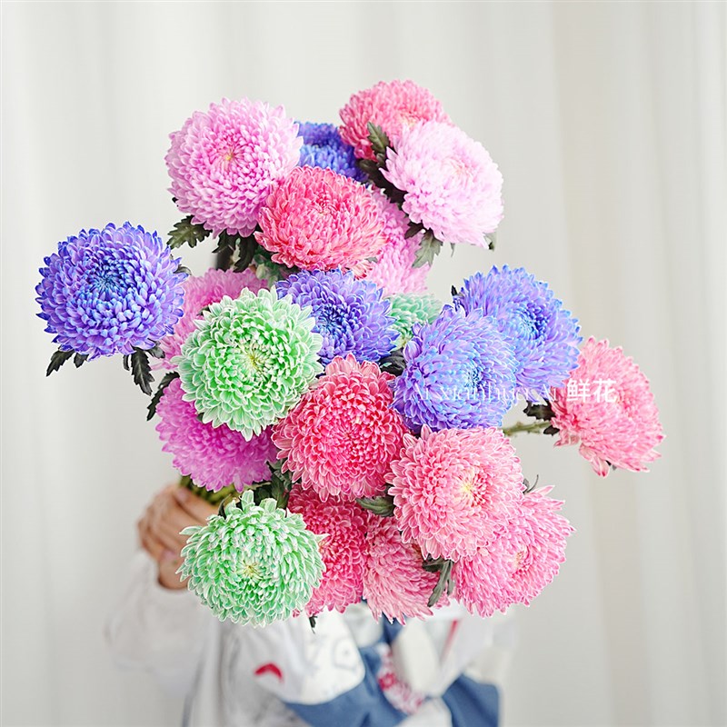 人间富贵花混色多色牡丹菊鲜花家居办H公插花水养云南直发花期长