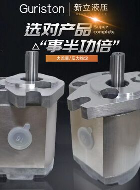 齿轮泵P101/P102/P104/P105/P106/P107/P109/P127/P135RP01GT油泵