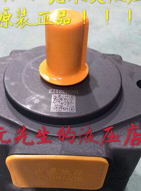 YLC浙江仙居永灵PV2R3-52/60/66/76/94/116/125/136RAF1叶片泵