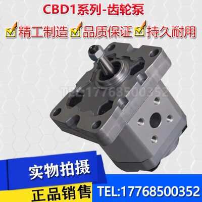 CBD1-F204.2/F201.3/F201.6/F202.7/F203.2/CBD1-F205.8齿轮油泵