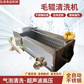 大姜去泥清洗机 商用全自动毛刷去皮机 根茎类清洗机海产品清洗机