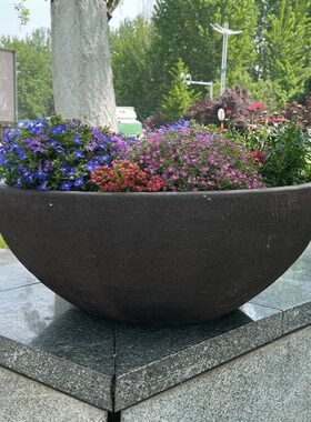 大花钵拼盘超大盆浅盆敞口盆大碗盆圆形花箱景观大口盆矮盆紫砂盆