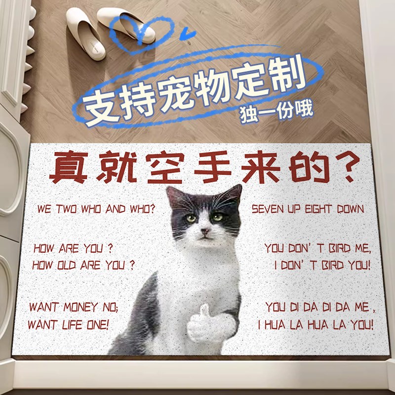 丝圈入户地垫真就空手来的宠物定制毯子进门O玄关丝圈家用搞笑创