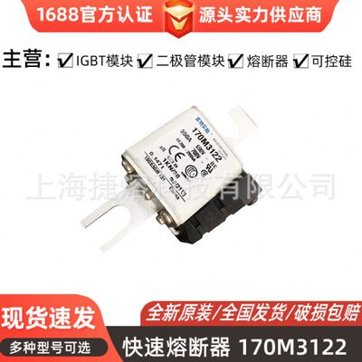 170M3122 170M3142 170M3144直流快速熔断器 电子元器件 库存充足