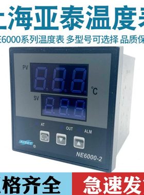 上海亚泰NE-6411V-2仪表温控器NE6000-2温控仪NE-5411数显温度表