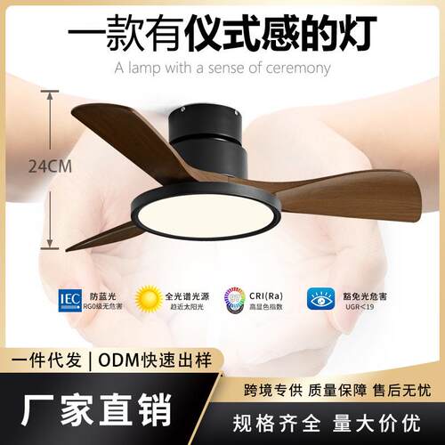 卧室风扇灯2024新款餐厅小型吊扇家用静音过道玄关阳台吸顶吊扇灯