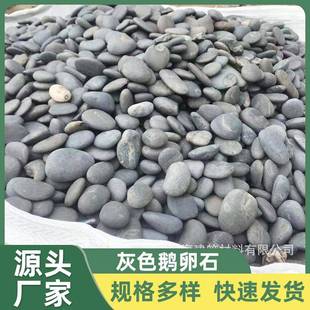 灰色鹅卵石垫层黑雨花石园林绿化鹅卵铺路散置水槽填沟石笼水池用