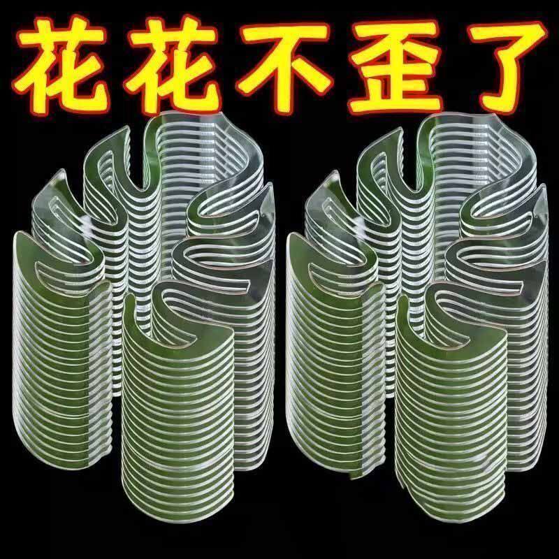 支撑杆防倒伏春雨支架固定器绿植物水培枝干花盆架园艺龟背竹支架