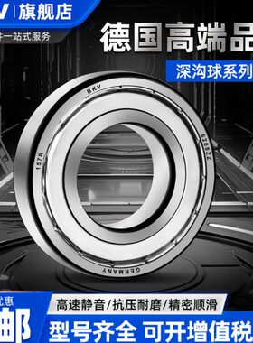 德国BKV轴承6007进口6008高温6009电机6010高速6011 6012RS6013ZR