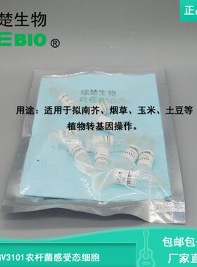 包邮包干冰GV3101农杆菌感受态细胞根癌农杆菌10支20支50支100支