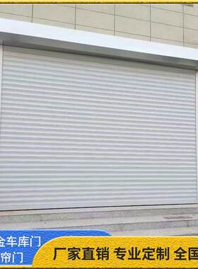 电动卷帘门防盗门别墅车