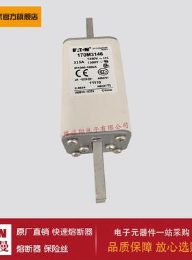 熔断器170M3146 170M3147 170M3148 170M4138 170M4139 170M4140
