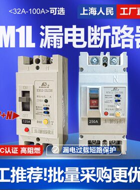 CM1LE单相漏电断路器63A 100A 125A 160A 250A塑壳漏保220V空开2P