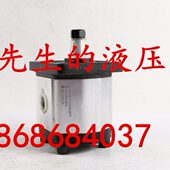 OT200P14D G28P2 PS2007035D OT齿轮泵PS200005D DT200P14D G31S2