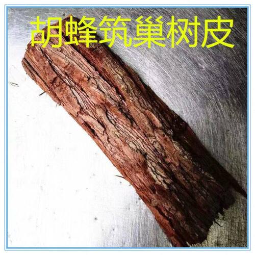 胡蜂筑巢材料树皮,黄脚红娘黑盾马蜂筑巢树皮,杉木树皮胡蜂养殖树