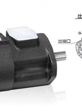 台湾ANSON安颂叶片泵IVPQ2-10-F-R IVPQ2-12-F-R  IVPQ2-19-F-R