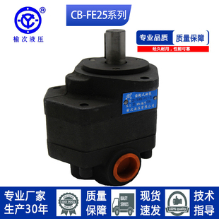 齿轮油泵CB 榆次液压款 FmE10 F1L1 31.5