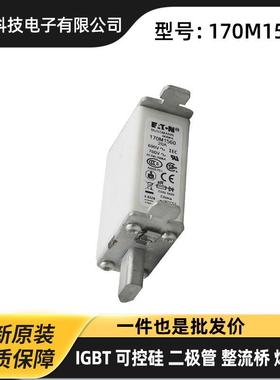 170M6010 170M6011 170M6012快速熔断器直流熔芯原装现货