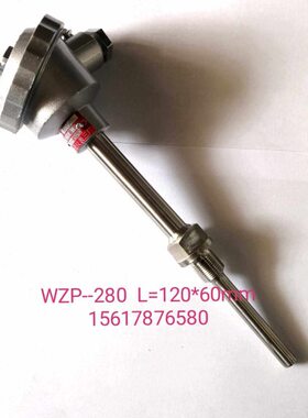 热电阻WZP--280  L=120*60  固定螺纹M14*1  定做各种规格热电偶