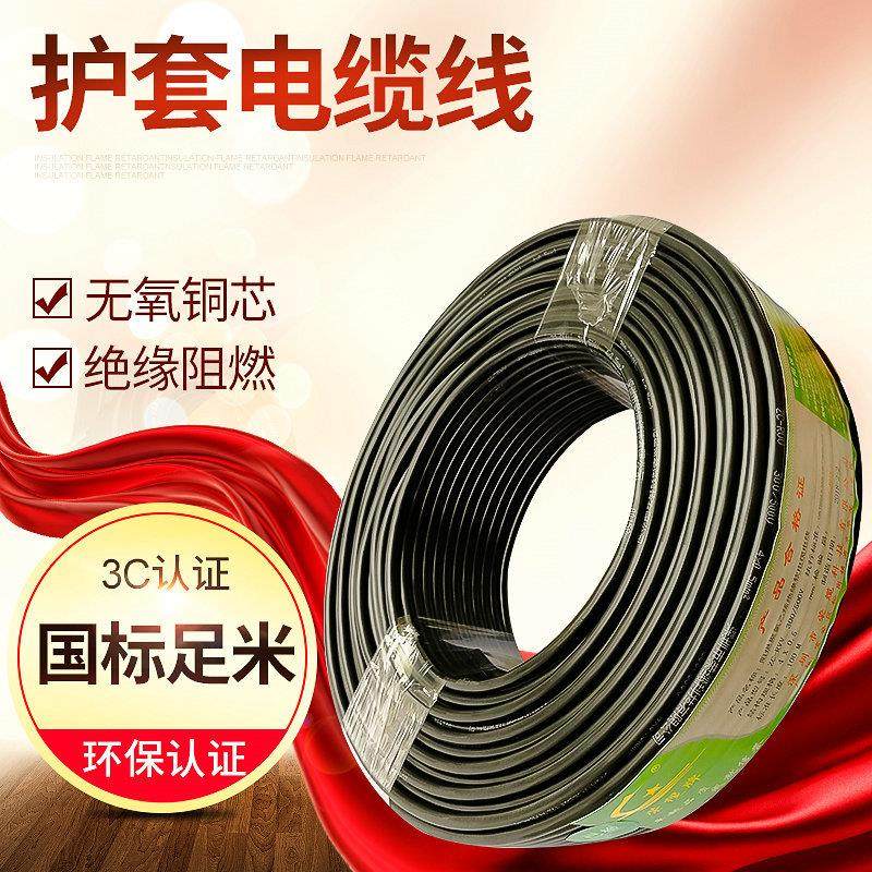 RVV2 3 4 5*0.5 0.75 1 1.5 2.5平方 国标多芯阻燃电缆信号电源线