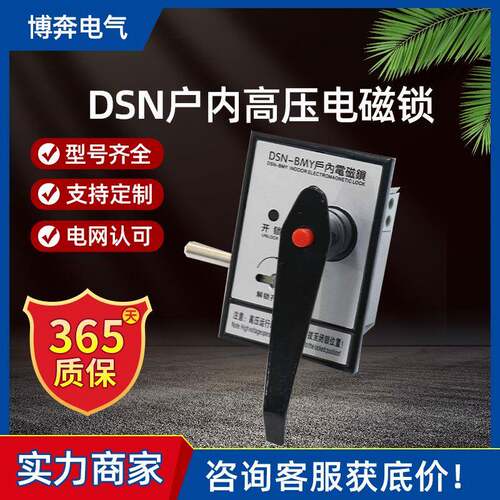 户内电磁锁DSN-A(B/D)MZ/Y交直流I/Y高压手柄式充气开关柜门反向