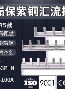 DZ47LE/3P+N漏电1P/2P/3P/4P C45空气开关63A紫铜汇流排接线端子