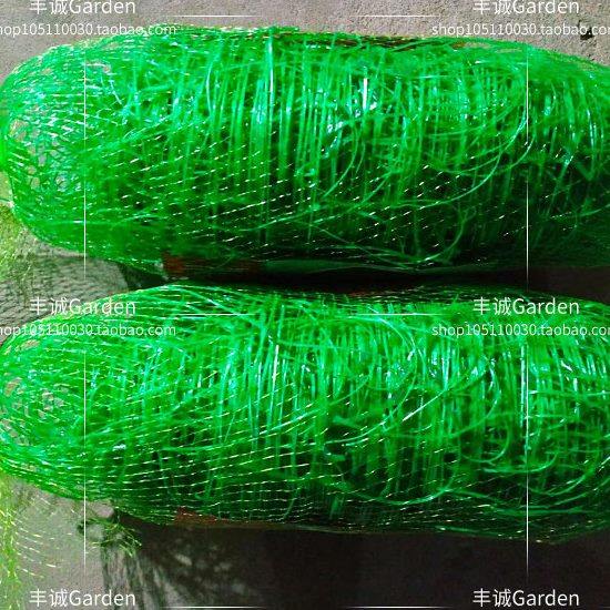 黄瓜网苦瓜网爬藤网小卷10米长豆角网 植物攀沿网白色绿色网,鲜花速递/花卉仿真/绿植园艺,打草绳等其他绳子,淘宝优惠券,粉丝福利购,淘宝优惠卷