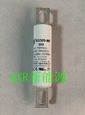 中熔RS309-MF熔断器 新能源汽车保险管 配电箱保险丝