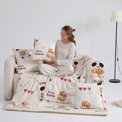 抱枕被子两用纯棉新款母婴A类全棉抗菌汽车用午睡枕头毯子二合一