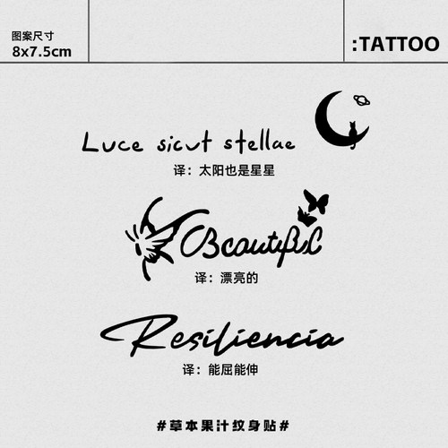 太阳也是星星草本纹身贴半永久