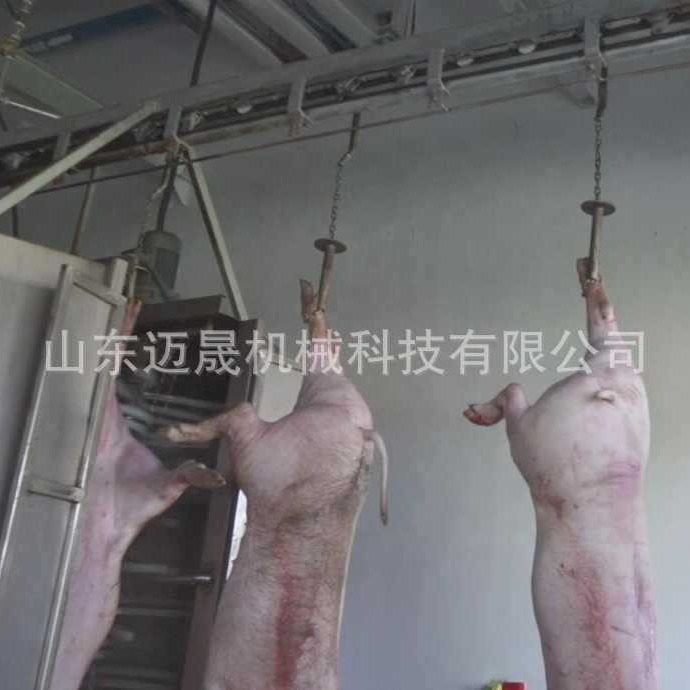 全自动生猪屠宰流水线整猪脱毛加工设备屠宰流水线屠宰场猪打毛机