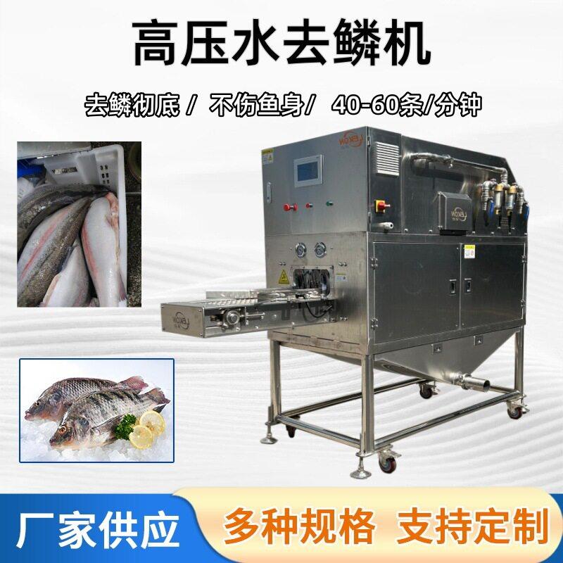 压水射流去鳞机鲈鱼比目鱼鱼鳞去除机鱼制品量产加工配套设备