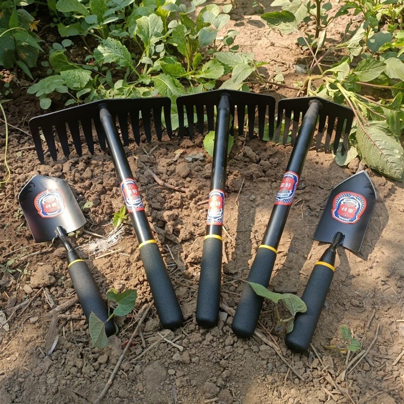 赶海神器挖蛤蜊耙挖花蛤工具沙滩耙铲子拾L花生土豆平地松土锰钢