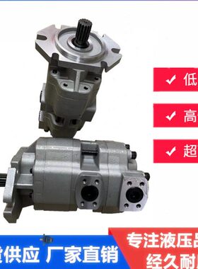 天津天机齿轮油泵GPC4-80-63-50-40-32-25-20-2E1F1-30-R L 1H7F4