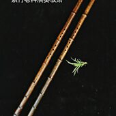 管子先生手作老紫竹演奏级洞箫琴箫精品一节紫竹萧古风8孔6孔素箫