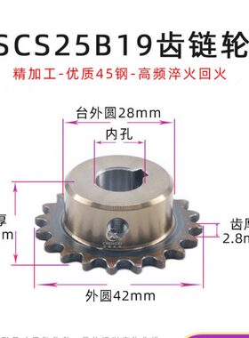 SCS高品质成型孔链轮2分19齿 25B19 04C19 外径42 精车内孔键槽
