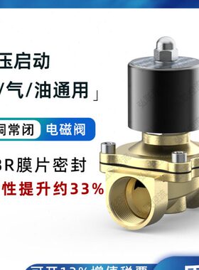 常闭全铜电磁阀控制阀开关阀水阀气阀电动阀220V24V4分6分DN1520