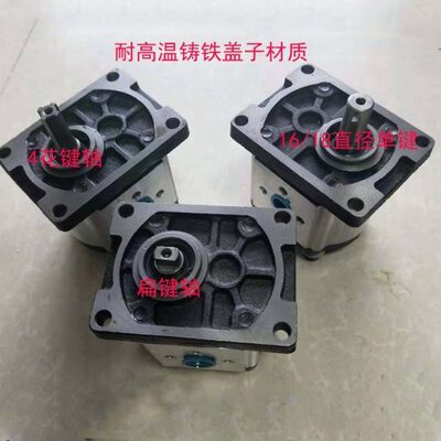 齿轮泵CBN-G304 CBN-G306 CBN-G308 CBN-G310 CBN-G316 G314 G320