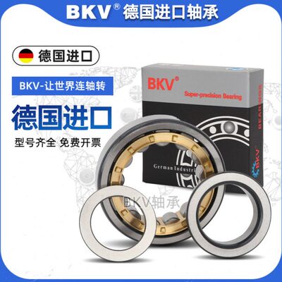 BKV德国进口NJ NU303 304 305 306 307 308 309 310M圆柱滚子轴承
