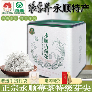 永顺莓茶张家界特级野生芽尖梅茶官方旗舰店正宗龙须土家养生藤茶