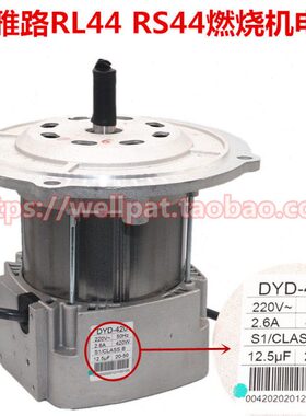 RIELLO利雅路RS RL 44 34 50电机马达300W 420W 600W风机RHE配件