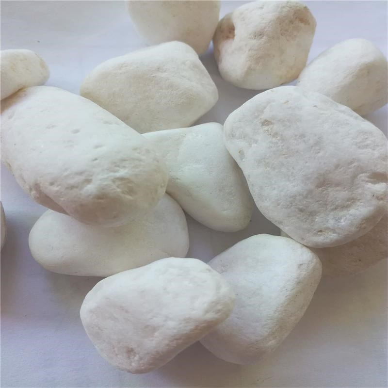 白色鹅卵石园林铺路白石子鱼缸庭C院造景装饰用白色石子现货供应