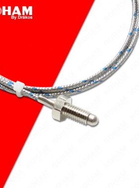 ROHAM活动螺纹热电偶K型M6螺钉温度传感器探头温控探头RH-8020