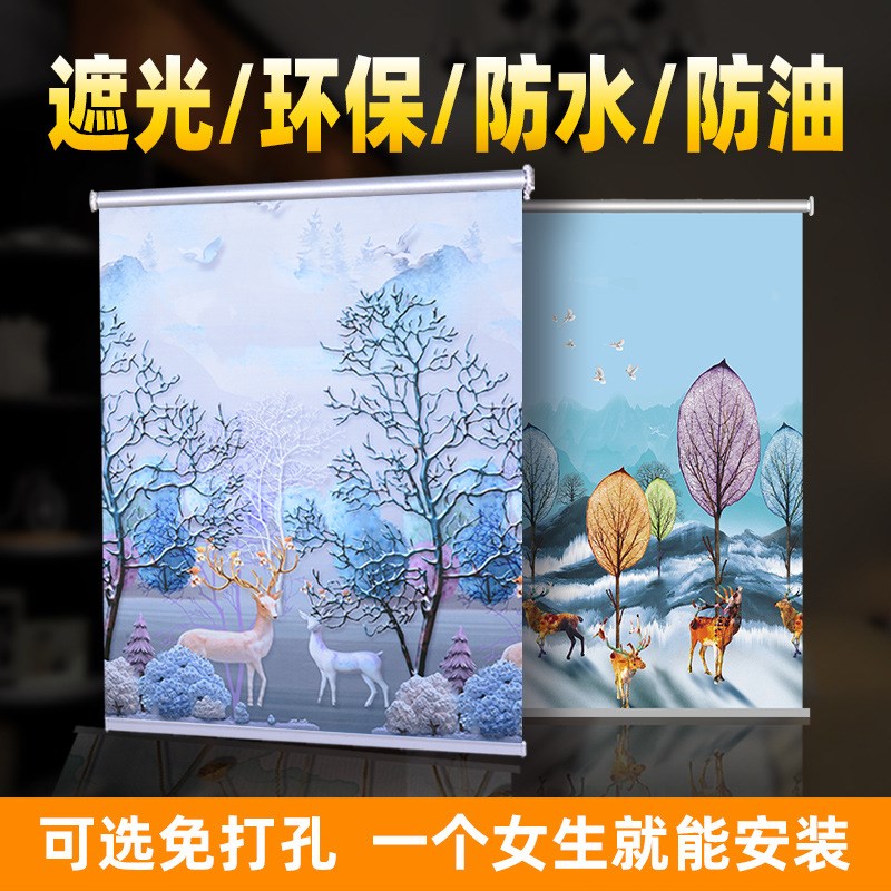 1P2R卫生间h免打孔卷帘浴室洗澡防走光透光厨房卷轴全遮光山水画